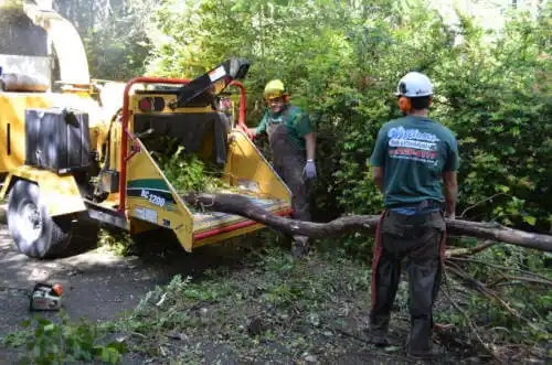 tree services River Falls